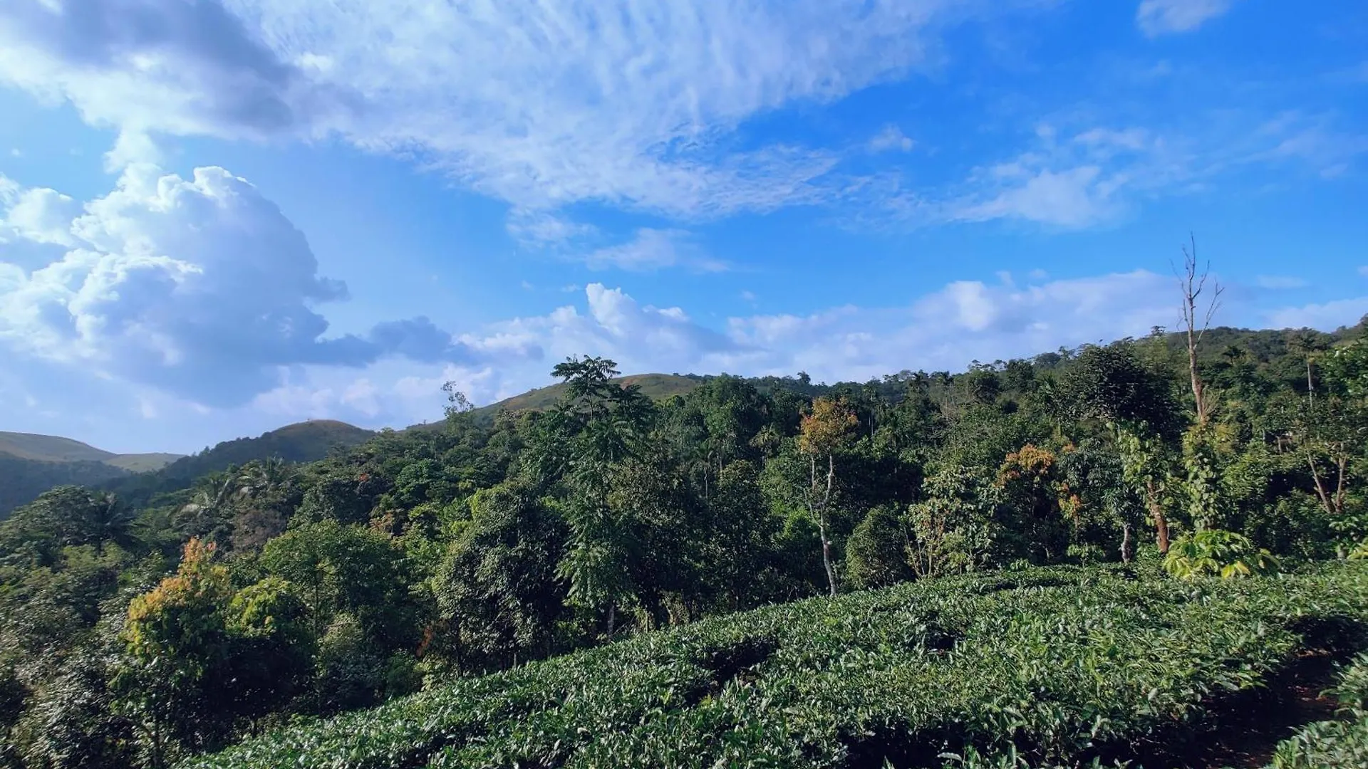 Apartment The Vagabond Stays Vagamon