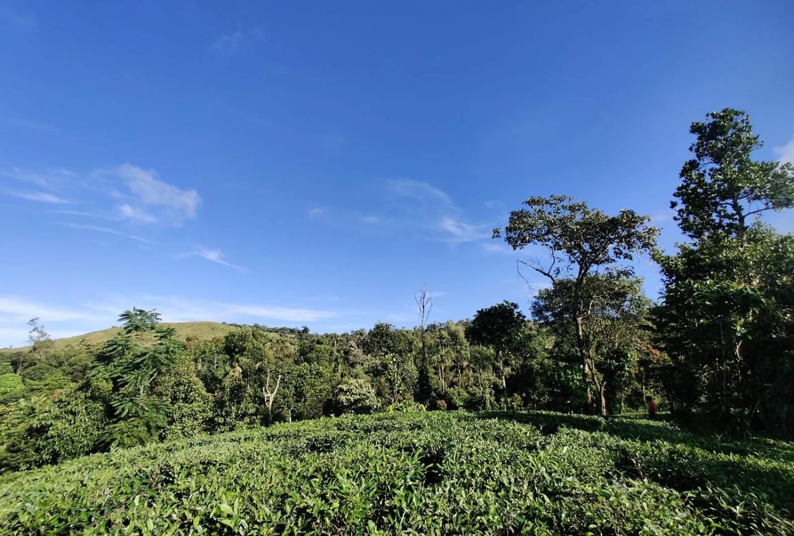 The Vagabond Stays Vagamon 0*,  India