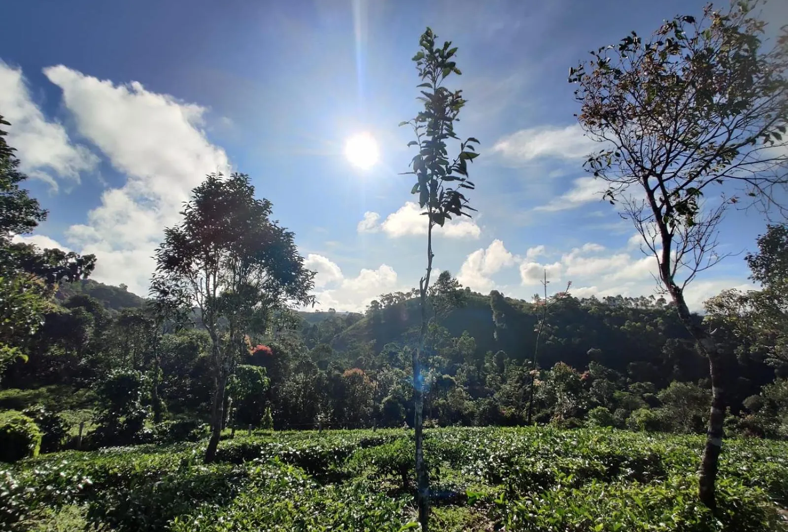 The Vagabond Stays Vagamon Apartment
